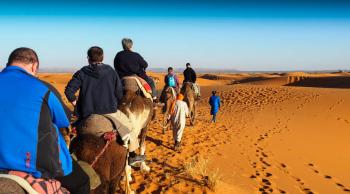 Marruecos safari fotografico